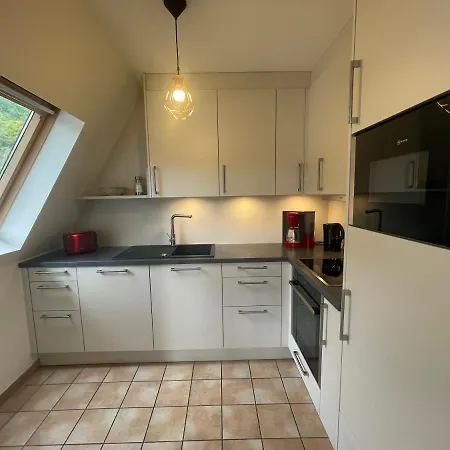 Apartment Huehnerberg Weingut C.a. Haussmann *